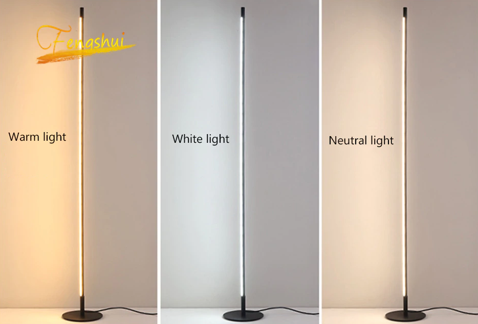 Fenashui Minimalist LED Floor Lamp