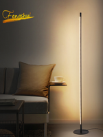 Fenashui Minimalist LED Floor Lamp