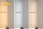 Fenashui Minimalist LED Floor Lamp