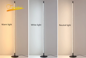 Fenashui Minimalist LED Floor Lamp