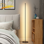 Fenashui Minimalist LED Floor Lamp