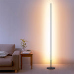 Fenashui Minimalist LED Floor Lamp