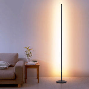 Fenashui Minimalist LED Floor Lamp