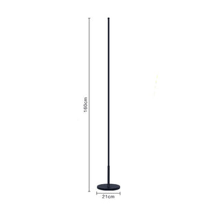 Fenashui Minimalist LED Floor Lamp